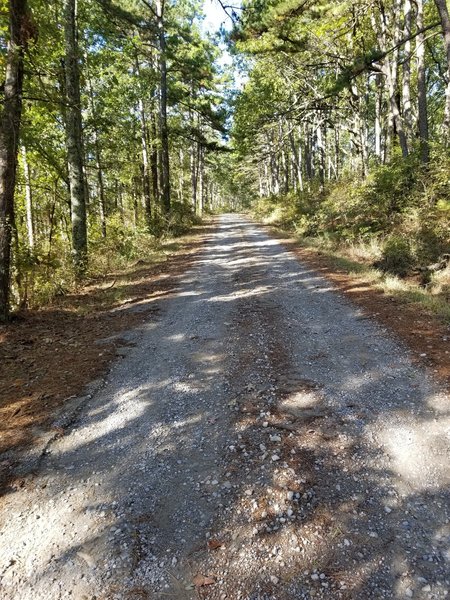 Beginning of Trail at Cattle Guard parking area