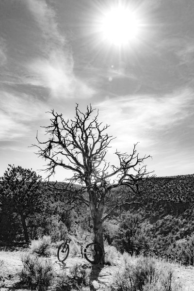 Horse Thief Mesa above the Rio Grande