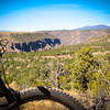 Rio Grande views along the Horse Thief Mesa trail