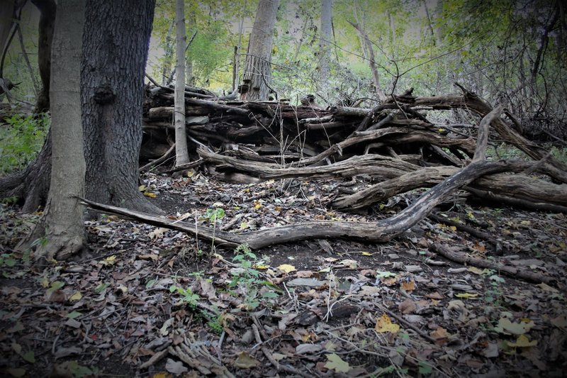 Namesake shelter ruins from what was very short term, a camp for a homeless man.