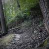 There have been a lot of landslides in this area, which is just below a landfill area run by the DPW.  Inherently, there are a lot of exposed seeps and slabs of concrete.  Very interesting when leaves are down.