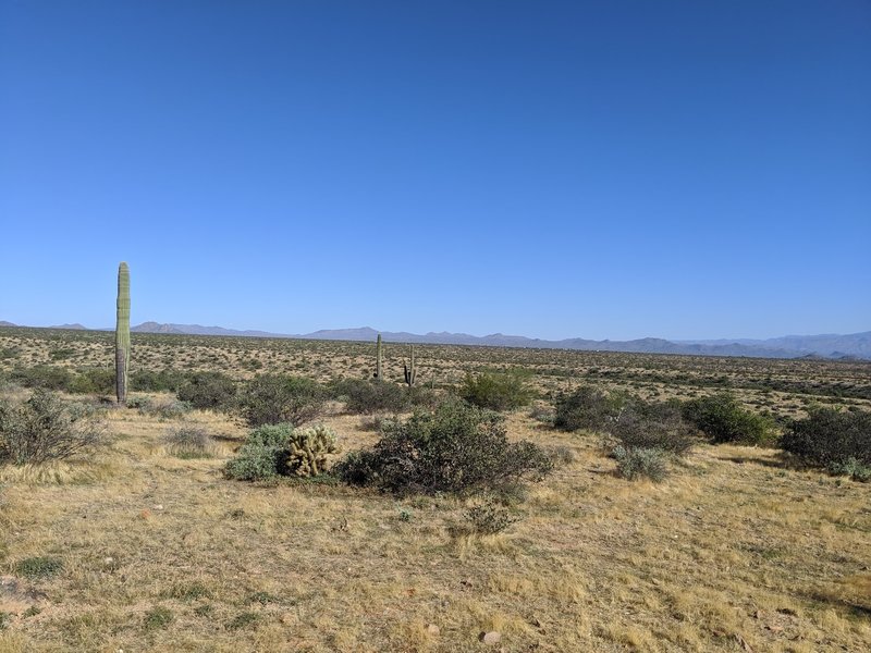 Looking north from the Pemberton rest stop