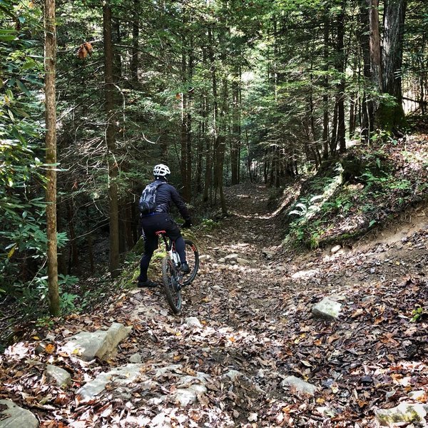 Descending down toward creek level, over loose rock terrain.