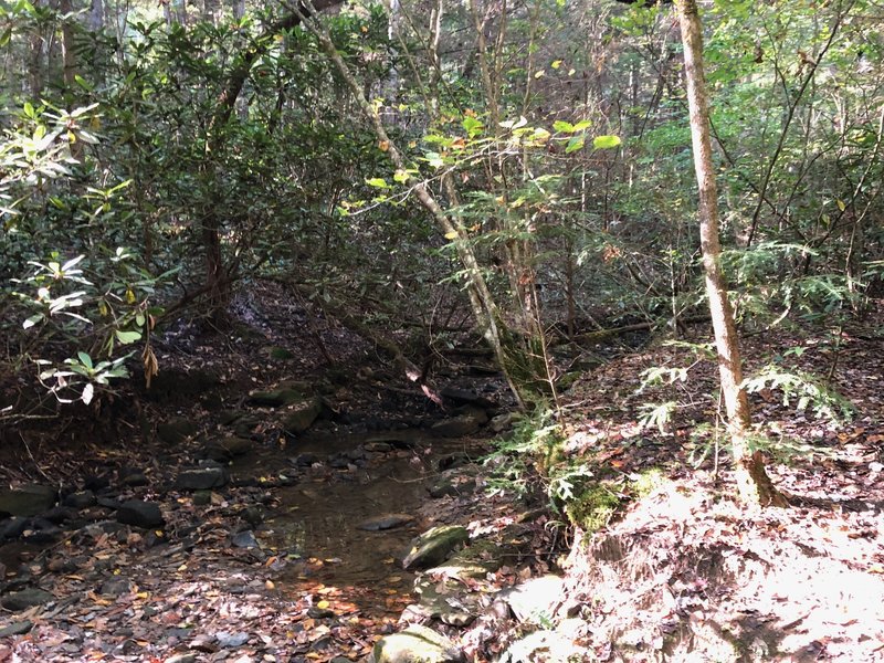 One of the creek crossings.