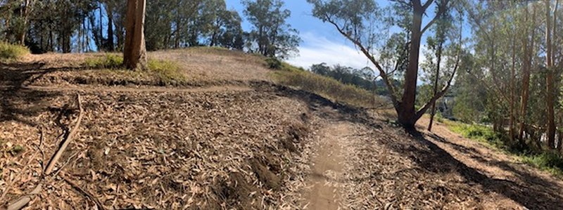 Recently-built singletrack on the north side of the Laguna Honda property. Photo faces up the hill facing the Timber Trail. Several switchbacks like this follow.