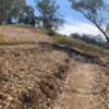 Recently-built singletrack on the north side of the Laguna Honda property. Photo faces up the hill facing the Timber Trail. Several switchbacks like this follow.