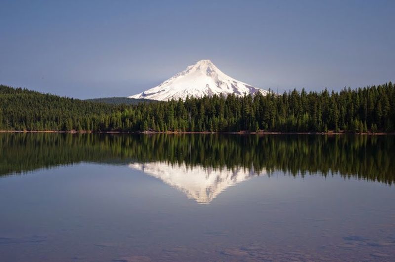 Hoodview Campground lives up to its name along the Southshore Trail. Photo by Gene Blick.