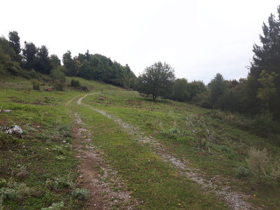 The doubletrack, after passing the gate and reaching the ground of "Kovacic"planina
