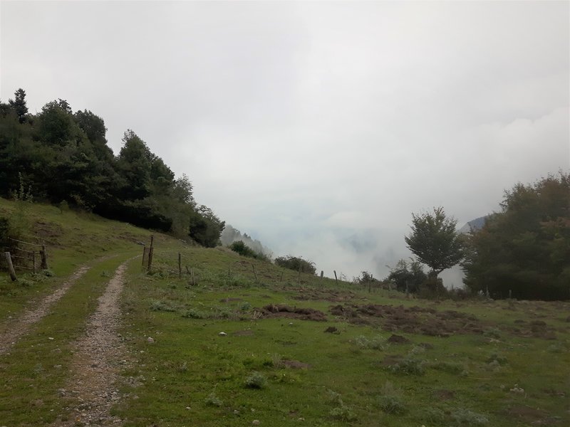 Doubletrack at "Kovacic"planina, where it gets steeper