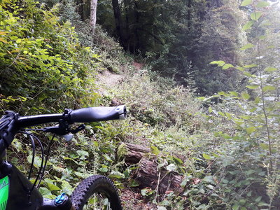 The trail is missing for some meters, maybe there was a landslide...