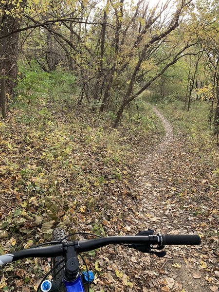 Scenic fall riding