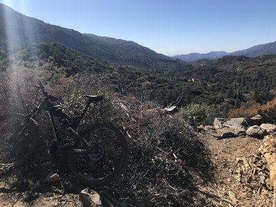 Nice view before diving back into the forest.