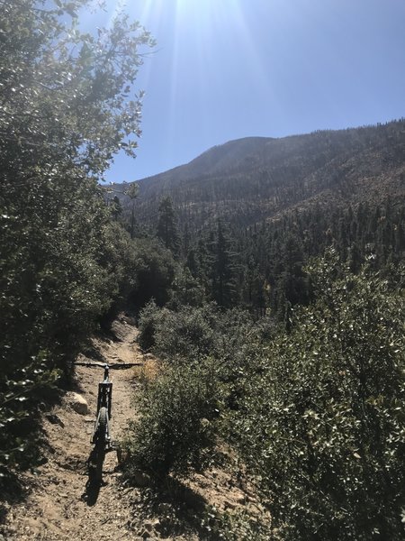 Riding the SART - catching a nice view on the bench trail