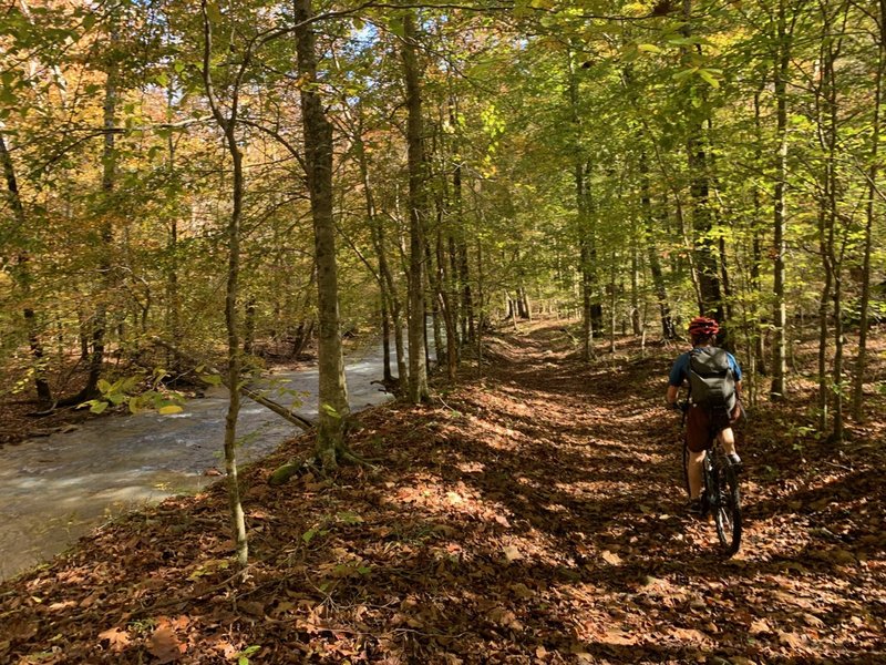 Path follows the Buffalo Creek