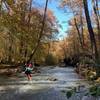 Trail criss crosses the Buffalo Creek many times. This is last crossing and most beautiful