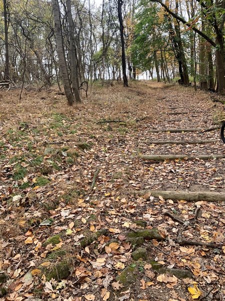 This climb is made much more complicated by the steps built into the trail.