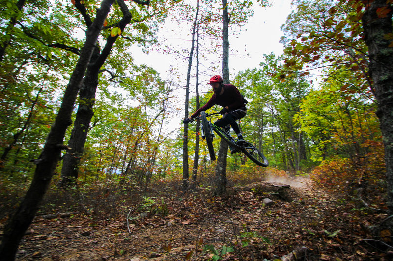 Matt Clements in the Creature from Carvins Cove Enduro 2019