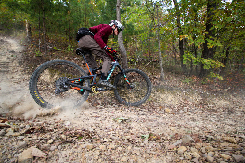 Creature from Carvins Cove Enduro 2019