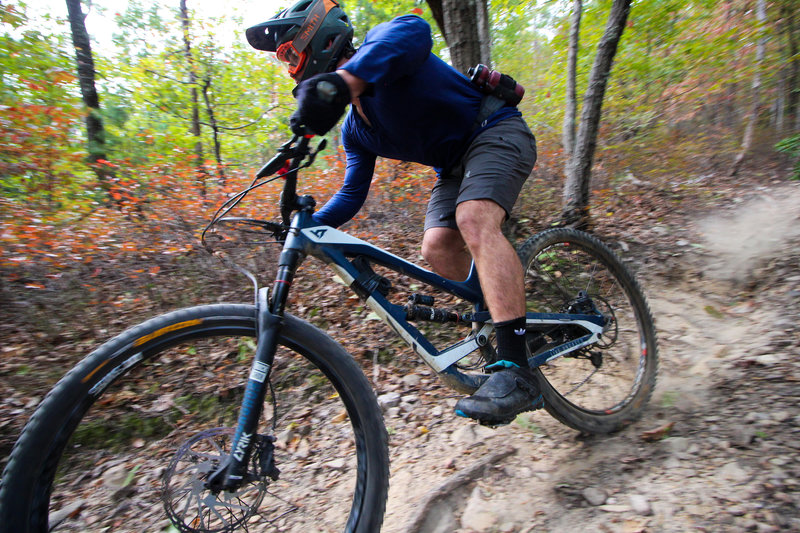 Creature from Carvins Cove Enduro 2019