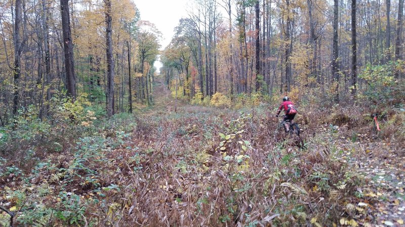 Heading west towards the parking lot.  Quite a few rocks and two good climbs in-between