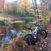 A beaver pond along the trail.