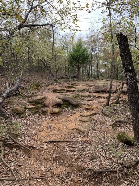 Rock Garden Technical Feature on the return of Loop 6. GPS coordinates ( 33.014556, -97.099472) for those who want to session this.