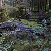 quonset hut ruins