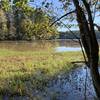 High Point lake from Bicentennial Greenway