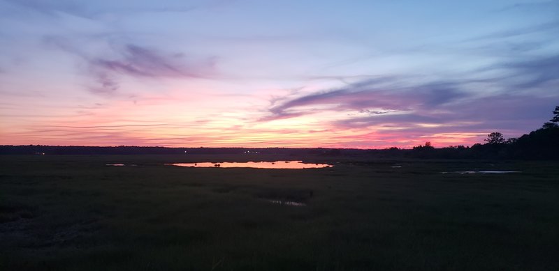 The Scarborough marsh