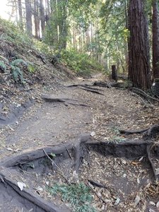 Enchanted Loop Mountain Bike Trail Santa Cruz California