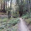 One of two bridges on the North trail (riding East).