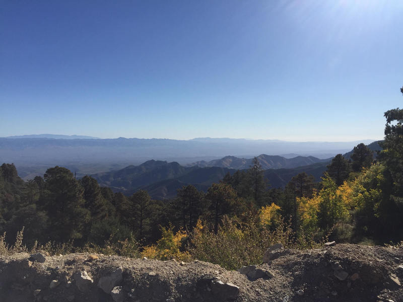 A view from  the top of Mt Lemmon