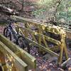 Bridge across Turkey creek