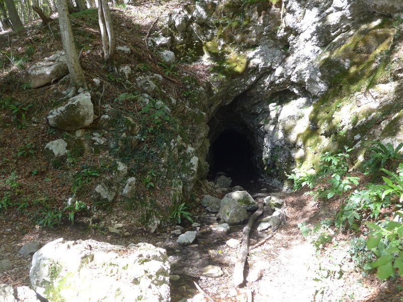The Karst-spring; just left of the dirt road.
