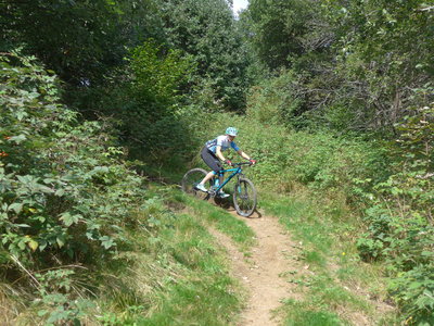 Riding the upper part of MataDown (elev.1.140m) just below the alm "Malga Gosgnach"