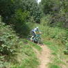 Riding the upper part of MataDown (elev.1.140m) just below the alm "Malga Gosgnach"