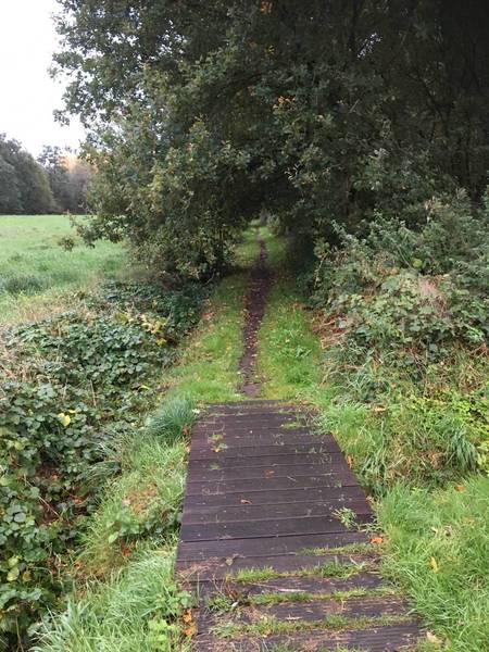 Houtekruis trail begin