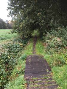 Houtekruis trail begin