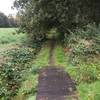 Houtekruis trail begin