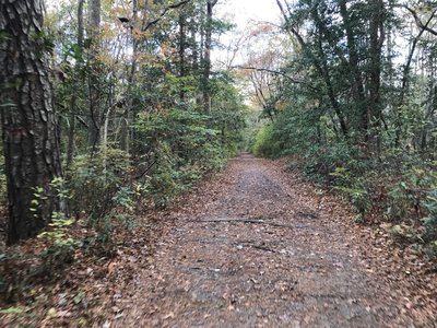 Mostly wide and flat - easy riding.