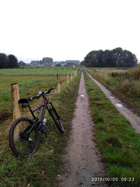 Trail in Aalst Loop