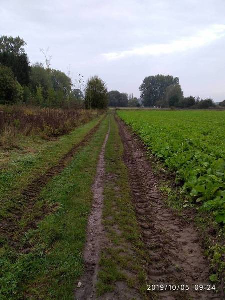 Singletrack