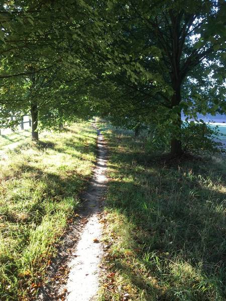 Trail near Asse