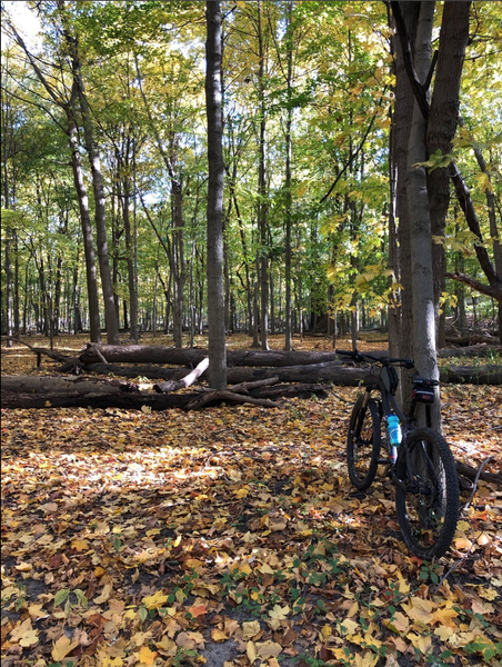 Fall day on the Riverside Trail