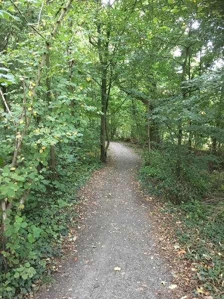 singletrack Buggenhout bos gravel trails