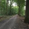 doubletrack Buggenhout Bos  gravel ride