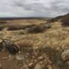 Rock garden section on the descent of Maxwell trail, small rock steps to left and right of the bike pictured.