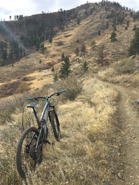 Working up the northern section of Timber Trail.