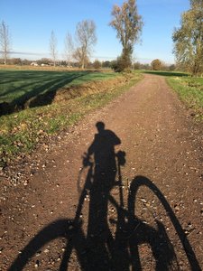 Low sun in winter