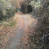 River Trail in early winter